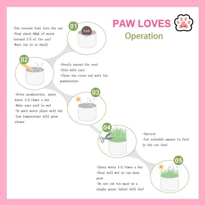 %5BSg%20Ready%20Stock%5D%20Cat%20Grass%20Seed%20For%20Planting%20Easy%20to%20Grow%20Oat%20Grass%20That%20Your%20Cat%20Will%20Love%20Good%20Cat%20Grass%20-%20Pet%20Cat%20Grass%20Pot%20Hydroponics%20Set%20Cat%20Grass%20Snack%20Hair%20Ball%20Cleaning%20Stomach%20Grass%20Hydroponics%20Grass%20Cat%20Snack%20Cleaning%20Toys%20-%20Paw%20Loves%20-%20Image%207