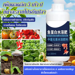 ปุ๋ยละลายไข่ปลา รากผัก 【เพิ่มผลผลิต 3 เท่า】ปุ๋ยน้ำโปรตีนปลา ปุ๋ยโปรตีนปลาละลายน้ำ กรดอะมิโนสำหรับผลไม้และผัก สารละลายธาตุอาหาร สารเร่งราก