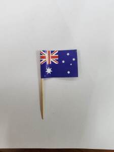 Assorted Different Countries Toothpick Flag FIFA World Cup Qatar 2026 Flag Food Pick Flag