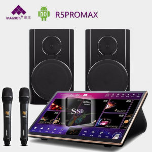 InAndOn Karaoke system 18.5 IPS Touch screenR5PROMAX500G SSD240W amplifier8 Passive speakerMicrophoneAndroid 10CloudYouTubeDual band WiFi