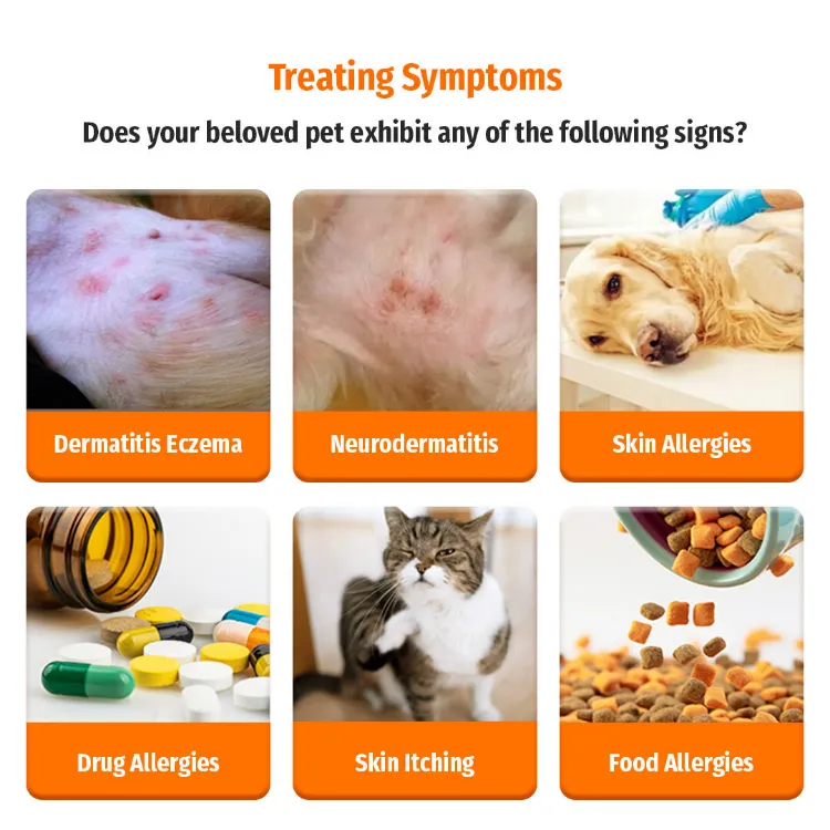 Allergy Symptoms Dog Skin Inflammation Treatment A Visual Guide To