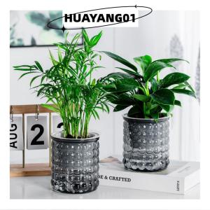 HUAYANG01 [2023 new HOT FASHION] Mini Tự Tưới Nước Chậu Hoa Bể Cá Nhựa Trong Suốt Nhà Máy Chậu Tự Tưới Nước Trồng Chậu Bình Cho Trang Trí Nội Thất