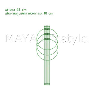 MAYA โครงเถาวัลย์ เสามะเขือเทศ โครงปลูก อุปกรณ์สำหรับพืชไม้เลื้อย 45cm 60cm plant trellis