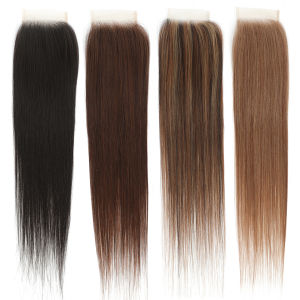 Gladys Ombre Brown Straight 4x4 Lace Closure HD Transparent Lace Closure SP4-27-30 Blonde Highlight 22 Synthetic Lace Closure2026