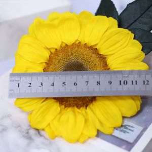 Preserved Fresh Flower Sunflower Real Flower Sunflower SUNFLOWER Sunflower Handmade diy Cross-Border Supply Wholesale