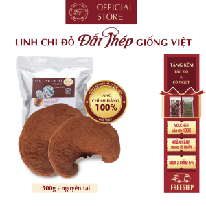 Trà Nấm Linh Chi Đỏ Đất Thép Giống Việt 500g (2 loại: Cắt lát hoặc nguyên tai) - Giải độc gan - Ổn định đường huyết - Hàng chính hãng