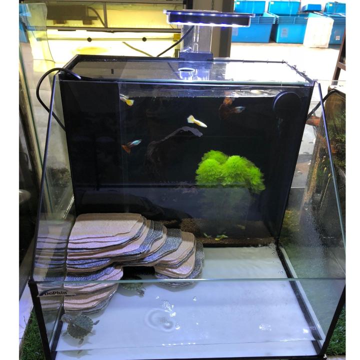 Dophin store aquarium tank