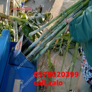 Chuyên bán và phân phối máy băm cỏ  băm chuối toàn phát chính hãng