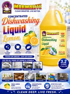 CONCENTRATED DISHWASHING LIQUID LEMON 3.2L GALLON STAIN REMOVER GENTLE ON HANDS 10X CLEANING POWER