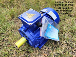 Mô tơ điện 3pha 22kw tua nhanh 3000v/p