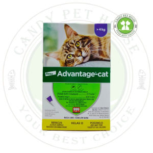Elanco / Bayer Advantage Cat Spot On M - (Box - Purple)