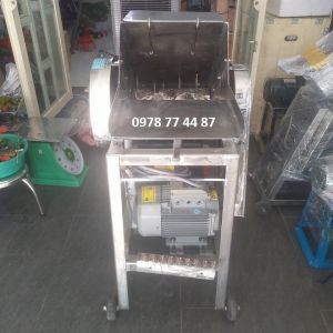 Máy xay nước đá cây công nghiệp ướp hải sản tôm cá