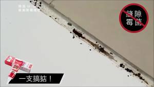 韩国除霉啫喱新型除霉菌神器浴室厨房去霉斑清洁黑家用去霉除霉剂