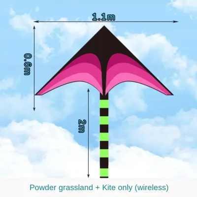 NAPKERY Long Tail Delta Kites Large 1.1m with 100M Kite Line Flying Toy Durable Easy to Fly Professional Wind Kites for Kids Adults