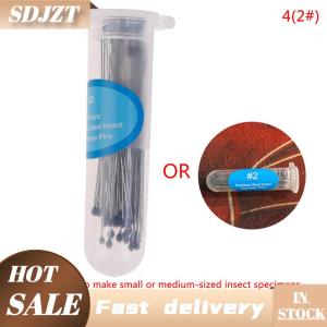 SDJZT 100pcs chân côn trùng Mẫu kim thép không gỉ cho trường học phòng thí nghiệm côn trùng học