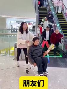 UrbanSpace SG- Outdoor Folding Chair Pulley Chair Elderly Mobile Travel Cart Portable Childrens Sightseeing Chair