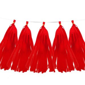 [Ready Stock] Party Paper Tassels Garlands Birthday Wedding Party Decoration Backdrop