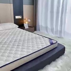 2026 Mattress latex mattress dormitory mattress student rental thick mattress cushion home floor mat artifact