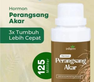 Booster akar stek / nutrisi khusus perakaran