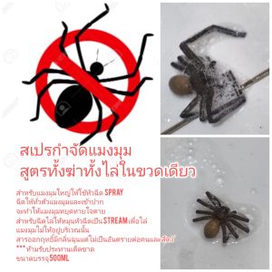 OT262 สเปรฆ่าแมงมุม สเปรไล่แมงมุม ไล่แมงมุม ฆ่าแมงมุม กำจัดแมงมุม ได้ทั้งแมงมุมพเนจร แมงมุมแร็ปโย่ว