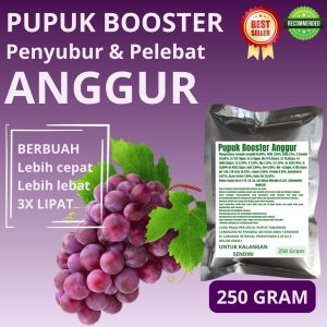 Pupuk Booster Anggur / Obat Booster Buah Anggur / Pupuk Booster Buah Anggur / Pupuk Buah Anggur