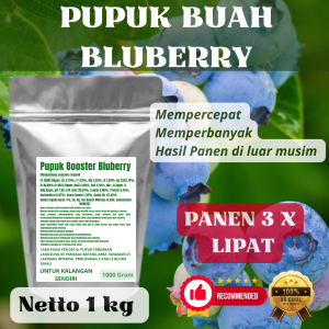 Pupuk Booster Bluberry Pelebat Organik Cepat Berbuah Lebat Besar Anti Rontok Pembesar Bluberry