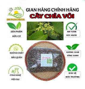 100g cây chìa vôi sấy khô hữu cơ