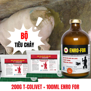 CHỮA HEO CAI SỮA TIÊU CHẢY(ENRO-FOR 100ml + T-COLIVET 200G)