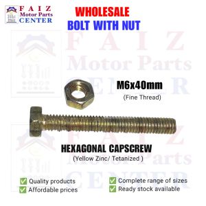 10 pcs. BH. 6x40mm (#10 sa yabe /tools)GOLD PLATED HEX BOLT WITH NUT (Tetanized Zinc Plated)