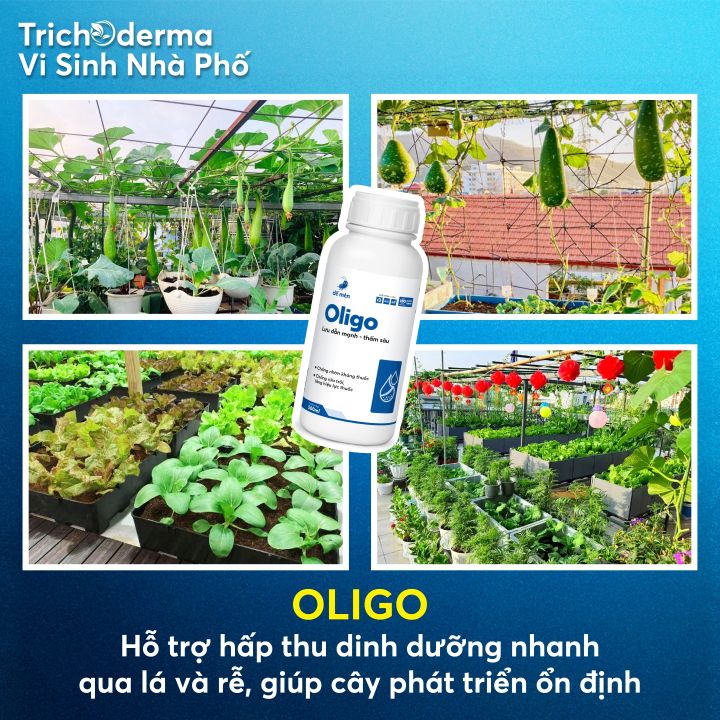 Ch%E1%BA%BF%20ph%E1%BA%A9m%20sinh%20h%E1%BB%8Dc%20Oligo%20D%E1%BA%BF%20M%C3%A8n%20-%20Gi%C3%BAp%20l%C6%B0u%20d%E1%BA%ABn%20m%E1%BA%A1nh,%20th%E1%BA%A5m%20s%C3%A2u%20250ml/500ml%20-%20Image%203