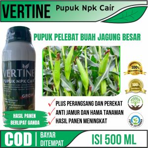 Terlaris PUPUK NPK CAIR Melebatkan Jagung Besar Maksimal - Obat Perangsang Pertumbuhan Jagung Berbuah Lebat Pupuk Jagung Paling Laris Terbaik Pupuk NPK Cair Alami Untuk Melebatkan Buah Jagung Hasil Panen Maksimal Paling Ampuh Terlaris