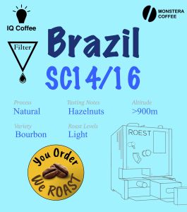Specialty Coffee Beans: Brazil SC14/16 (150g) - for Filter Coffee (LIMITED PROMOTION)