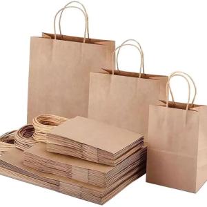 10PC Kraft Paper Gift Bag Thickened Brown/Green Paper Bag Kraft Bag with Twine Handle for Packaging