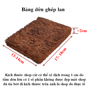 Bảng dớn trồng lan kích thước 30x20x2 cm và các cỡ khác