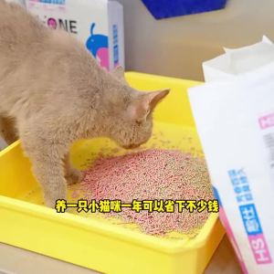 Sakura Scent Mixed Cat Litter 2.4kg – Odor Control Low Dust Fast Clumping