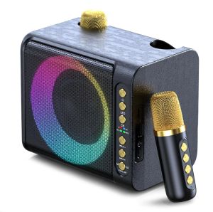 Speaker Bluetooth Full Bas Karaoke FLE F203M Gratis 2 Microphone Karaoke Bluetooth/ USB/ TF CARD/ AUX / Lampu LED RGB Mengikuti Bass Musik speaker bluetooth / salon aktif / salon bluetooth full bass / speaker aktif / salon karaoke bluetooth