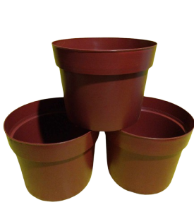 3 pcs. /set – Premium Quality Plastic Orange Pot (Ht. 5.5 Inches Opening 7 inches) [Stock Code: No. 7 ] with FREE Philodendron Temptation 2 to 3 leaves with roots