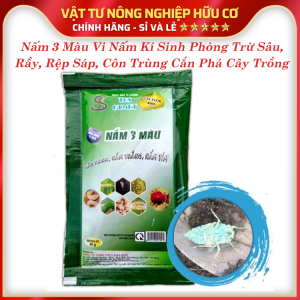 Vi Nấm Sinh Học Kí Sinh Phòng Trừ Sâu Rầy Côn Trùng... Cắn Phá Cây Trồng - BTMET - NẤM 3 MÀU (Gói 30G)