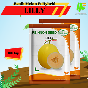 Benih Bibit Melon Golden F1 Hybrid - LILLY - Reinnon Seed