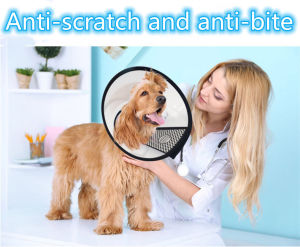 Elizabeth ring cat and dog safety collar ring pet headgear bite-proof pet supplies anti-lick