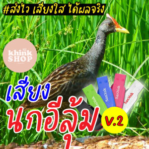 เสียงต่อนกอีลูม V2 นกตูม นกตูม เมมเสียง นกอีลูม: ฟลชไดร์ฟเสียง ราคาปลายทาง