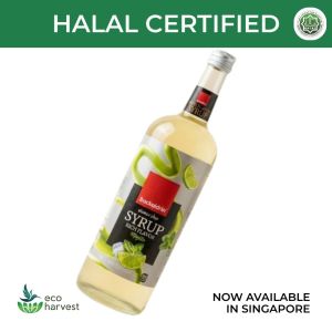 Backaldrin Mojito Syrup (1L) | Refreshing Lime & Mint Mixer for Mocktails Sodas & Tea | Halal