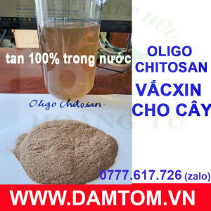 PHÂN OLIGO Chitosan-  Dạng Bột (Gói 500gram)