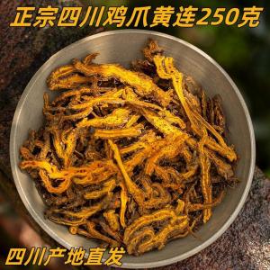 💗🙋‍♀️💗正宗四川鸡爪黄莲一等品四川直发黄连中材黄连片打粉泡水