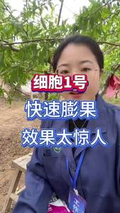 百鸿细胞1号膨大果实保花保果防裂果畸形果柑橘果树瓜果蔬菜通用