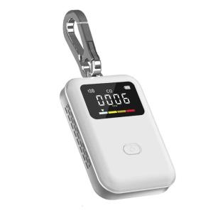 Portability CO Gas Detector With Type C Charging Function Digital Display Instantly Alarm For Home Outdoor Environment