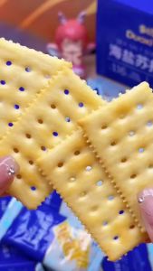 Sea Salt Soda Crackers Milk Salt Flavor Salty Meal Replacement Breakfast Office Snack Salt Soda Biscuits Milk Salt Flavor Salty Flavor Meal Replacement Breakfast Office Casual Snacks