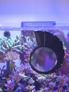 Vastocean Marine Aquarium Viewing Mirror 3X Magnifying Glass Conch Shape Large Mirror to See Clearly Strong Magnetic Module Comb