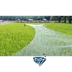 JARING PADI 2 INCH / JARING PENUTUP SAWAH / JARING EMPRIT / JARING PIPIT / JARING PERTANIAN / JARING PELINDUNG PADI