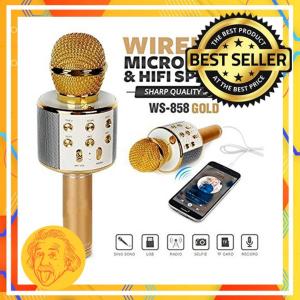 Speaker Mikrofon Bluetooth Karaoke Mic WS-858 Mic Bluetooth 2in1 Setel Lagu Sambil Karaoke